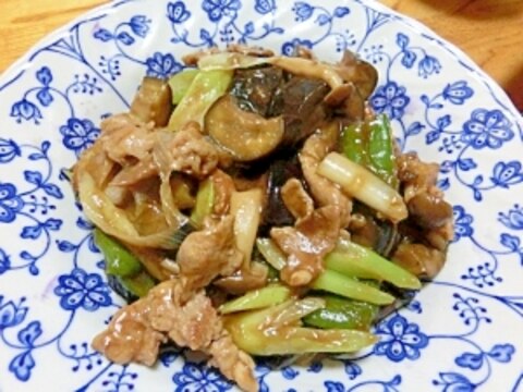 豚肉とナスの甜麺醤炒め